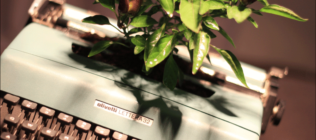 the-little-typewriter-Perth-copywriter