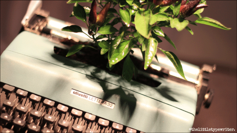 the-little-typewriter-Perth-copywriter